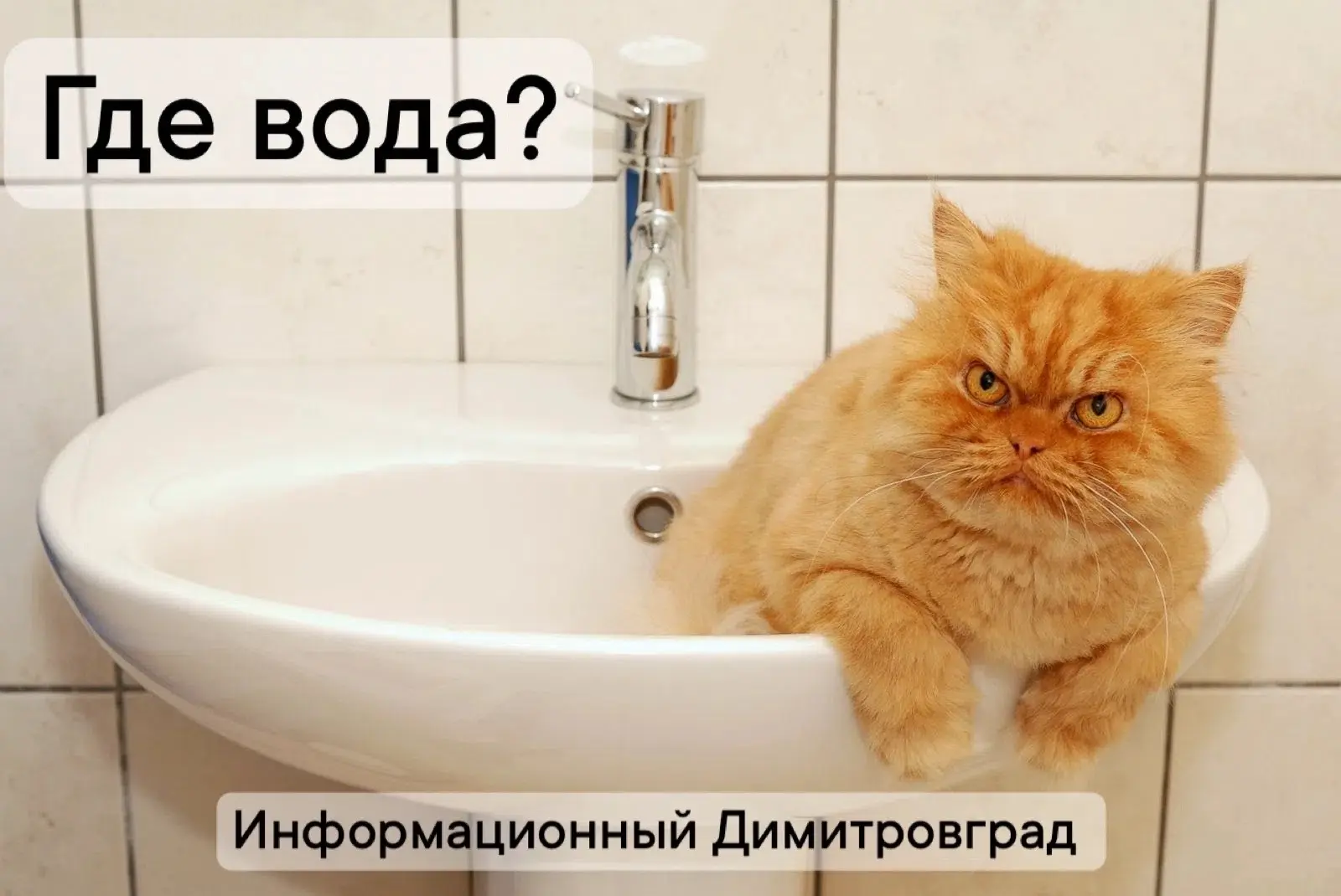 💧 Отключение горячей воды в микрорайоне «Олимп» 25 августа