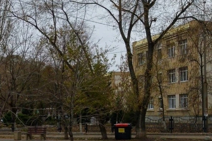 😡 В Энгельсе рядом со школой вырубят деревья и сделают площадку для сдачи экзамена на ...
