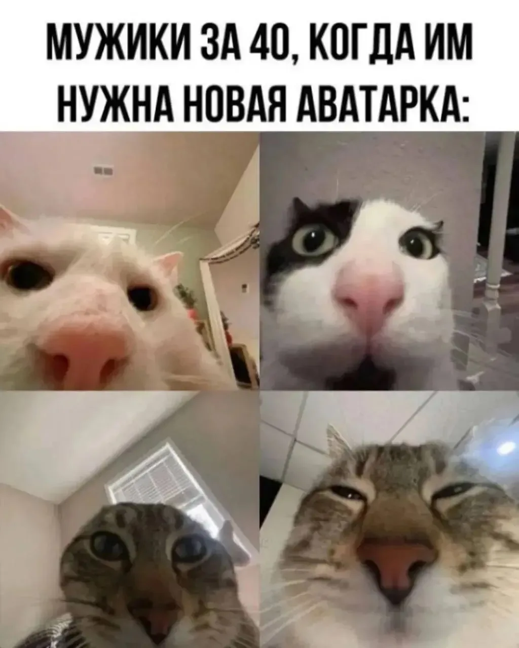 Ну красавцы 👍😂😂😂