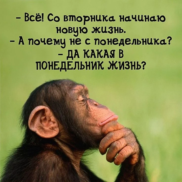 Наш канал ЛУЧИК РАДОСТИ ✨
