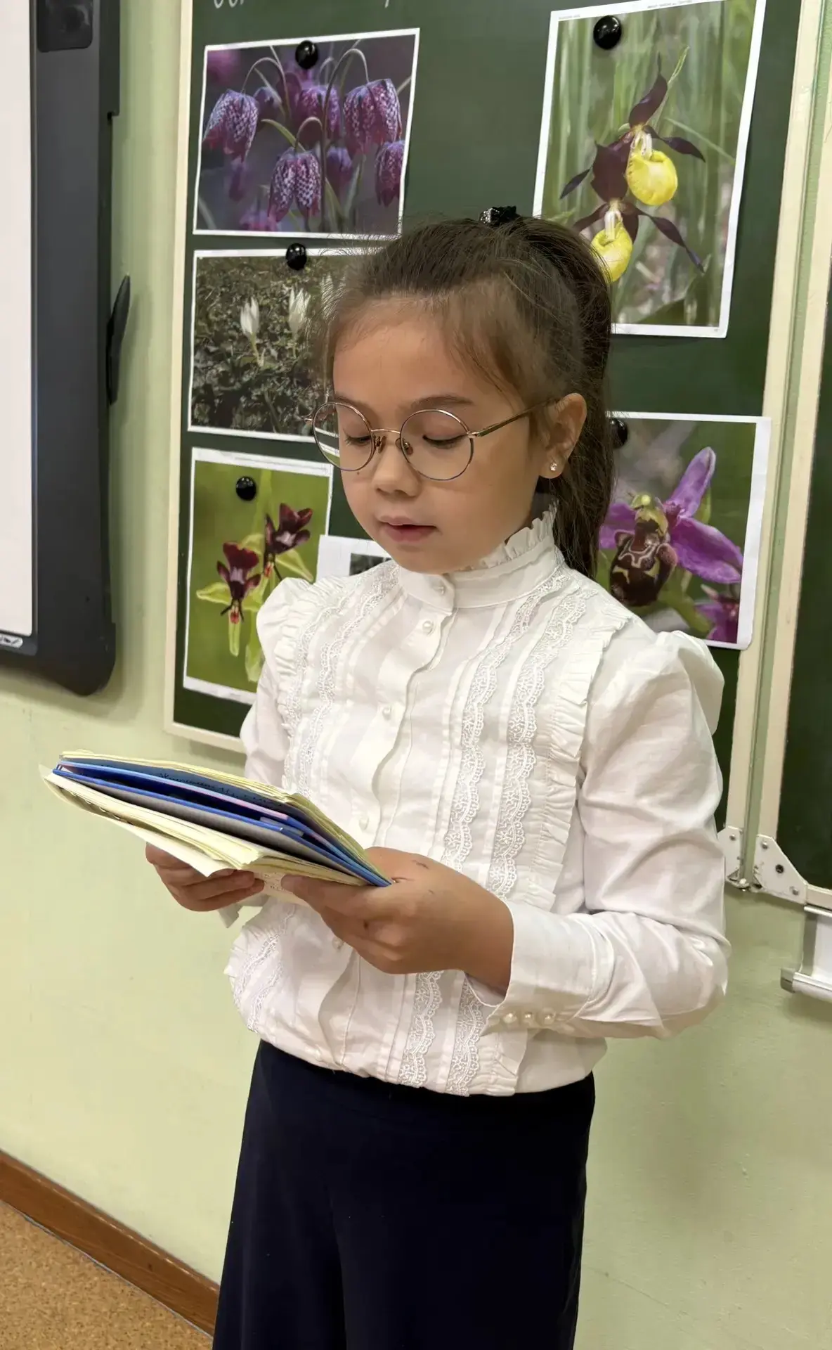 👩‍🎓Парад проектов во 2 классе
