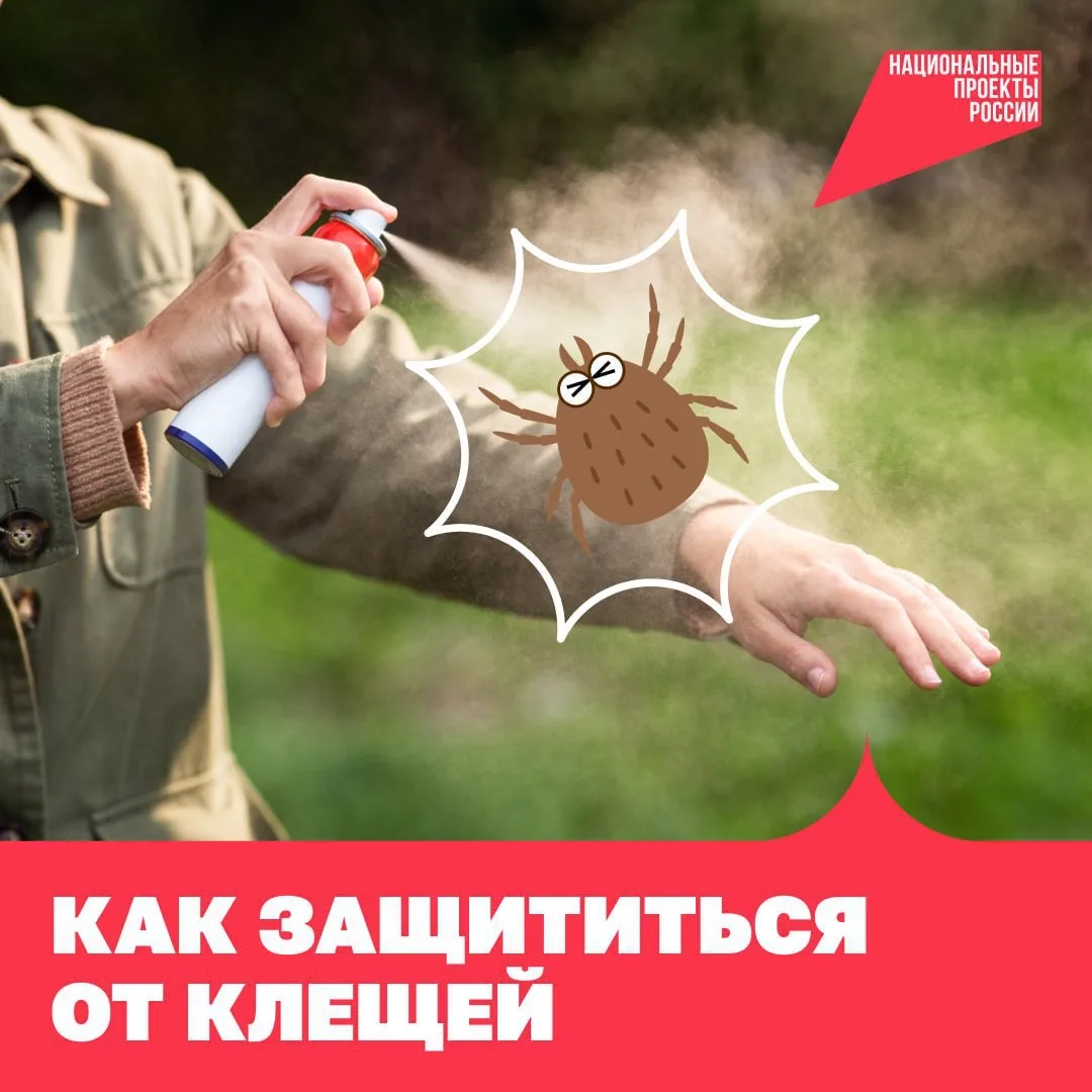 Клещи вышли на охоту! 

Рассказываем, как от них защититься и что делать, если укусили вас или четве