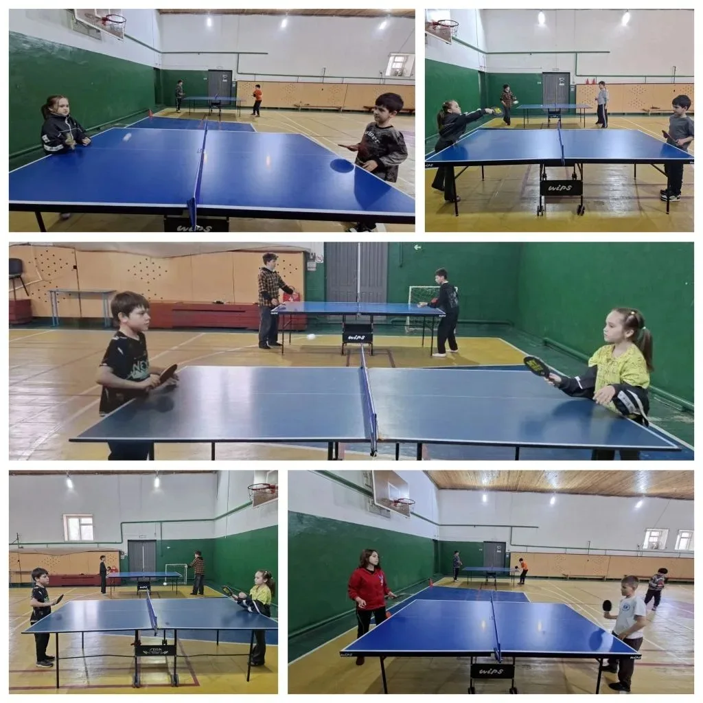 Тренировочный процесс по настольному теннису🏓