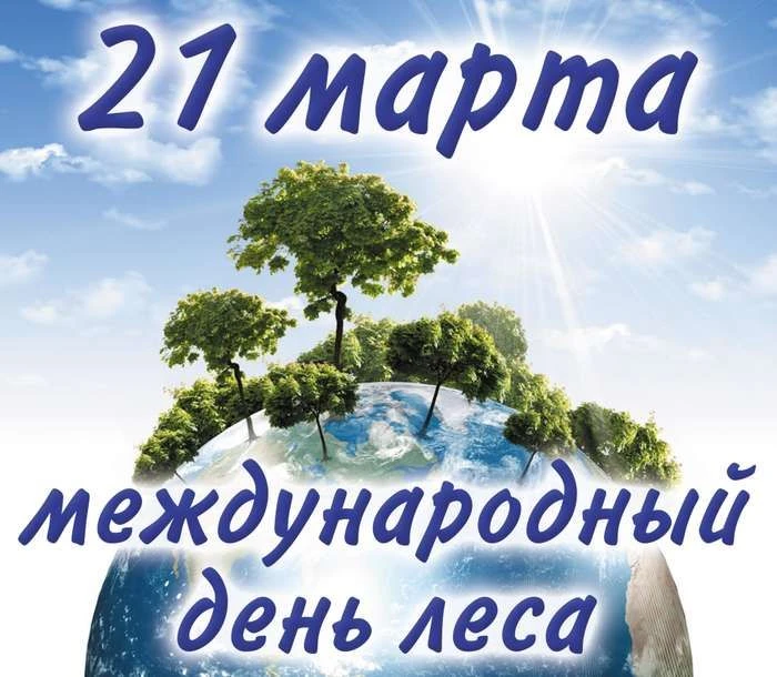 С Международным днём леса!🌲