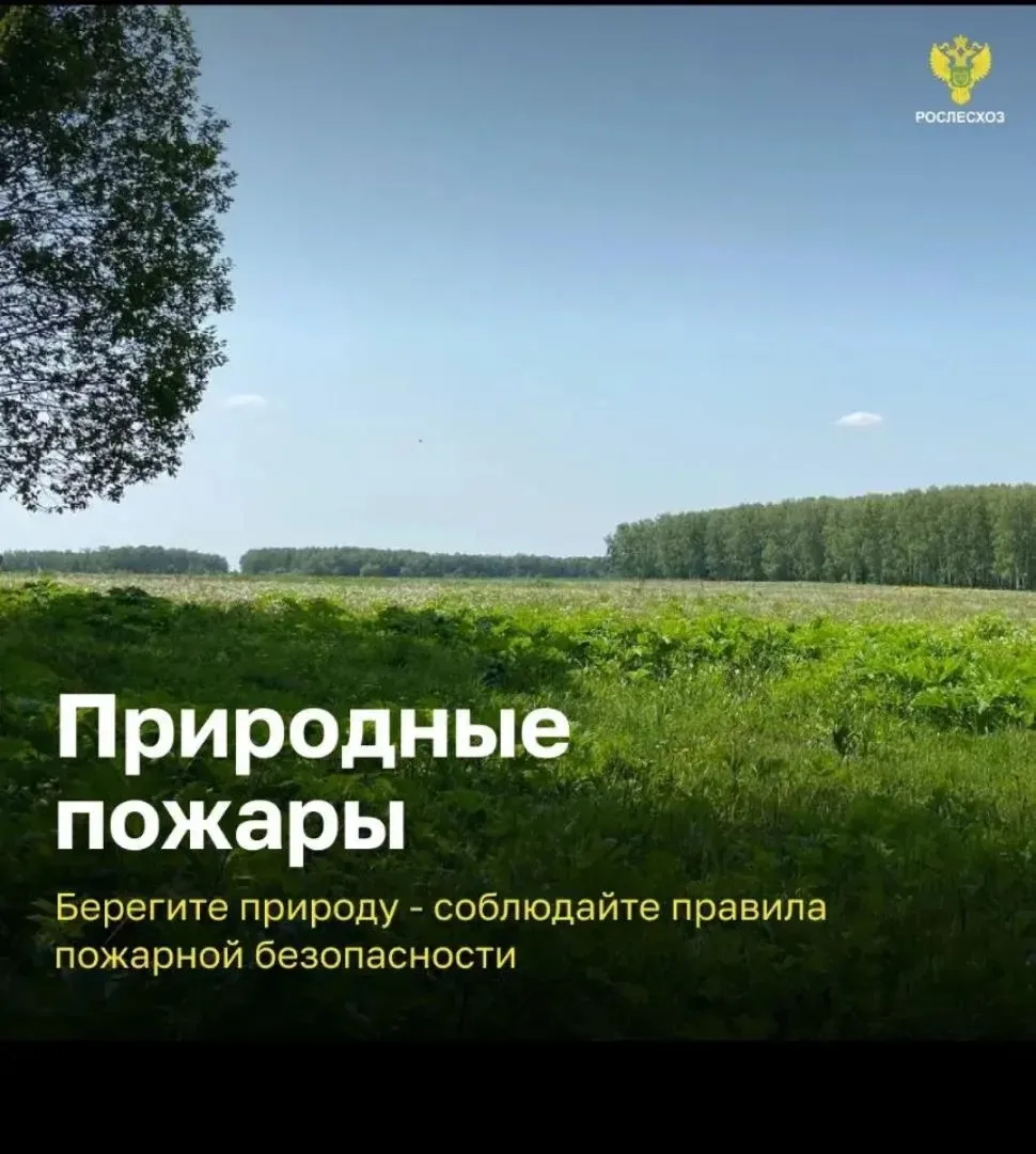 Ежегодно порядка 70% всех лесных пожаров происходит по вине человека. Кампания предусма...