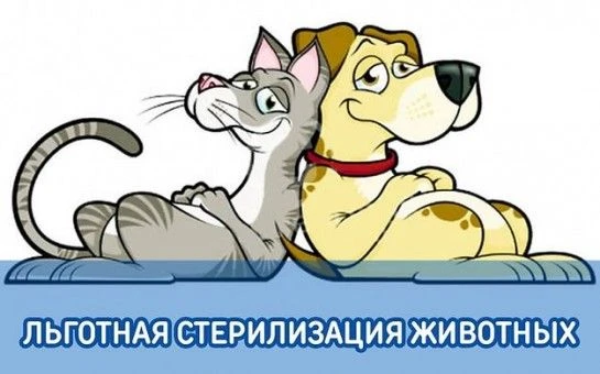 АКЦИЯ В ТУЛУНСКОЙ ВЕТЕРИНАРНОЙ КЛИНИКЕ