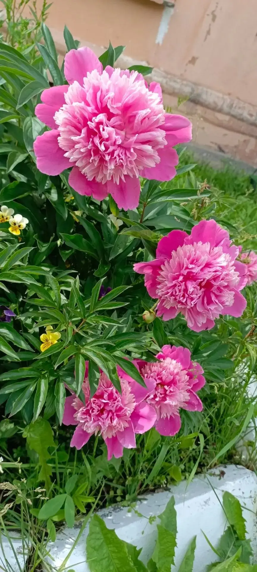 ☀️Лето — это маленькая жизнь, и сейчас она в самом разгаре!
Когда за окном установились тёплые деньк