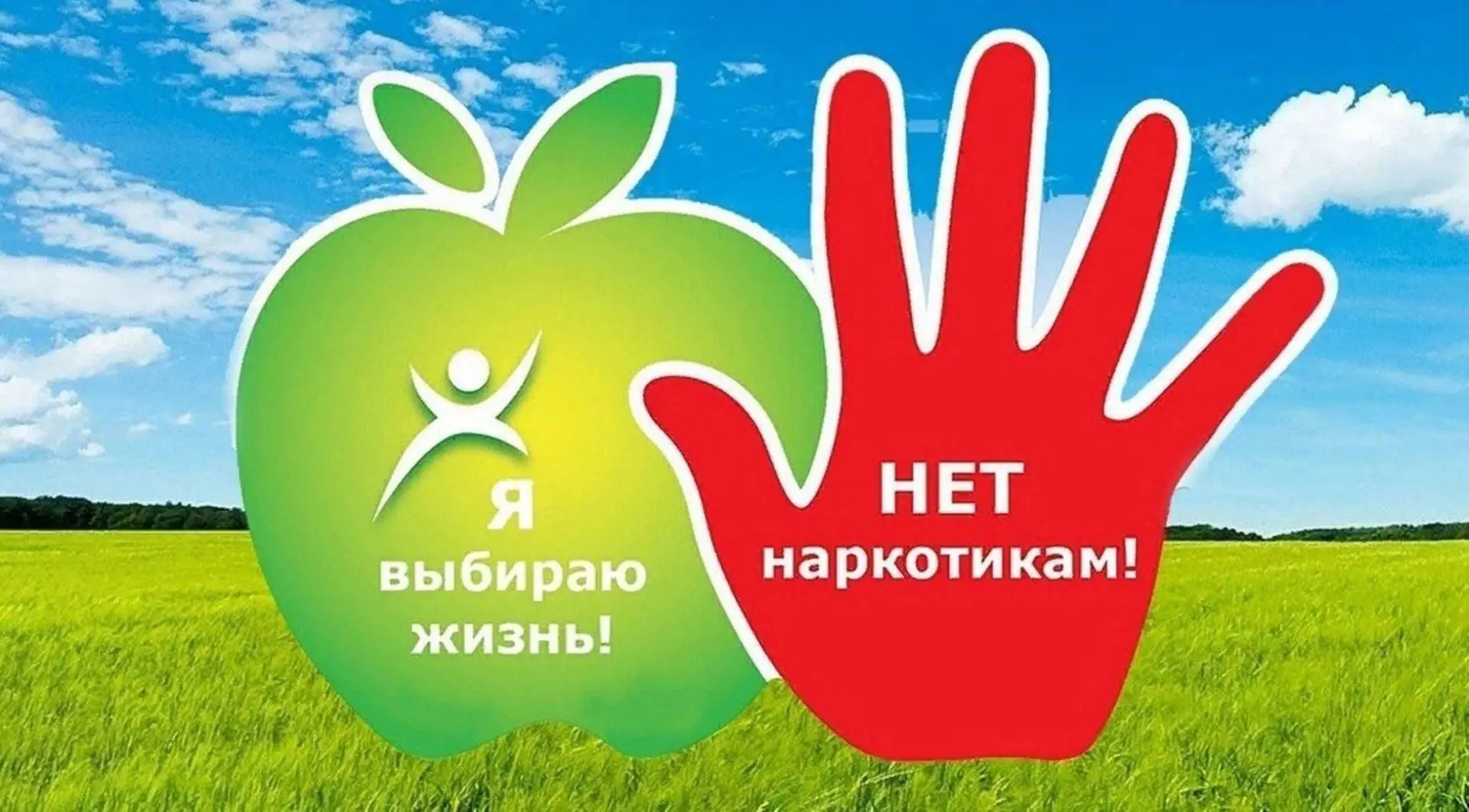 С 1 по 31 октября 2026 года в нашей школе проходит антинаркотическая акция «Классный ча...