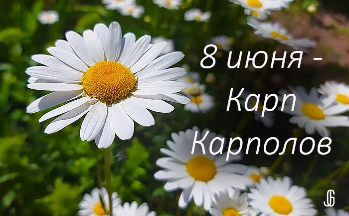 🌸Народные приметы и запреты 8 июня.