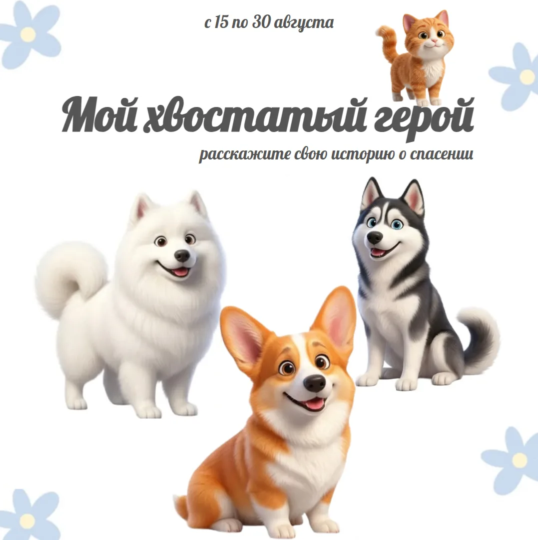 Они ждали своего человека🩵