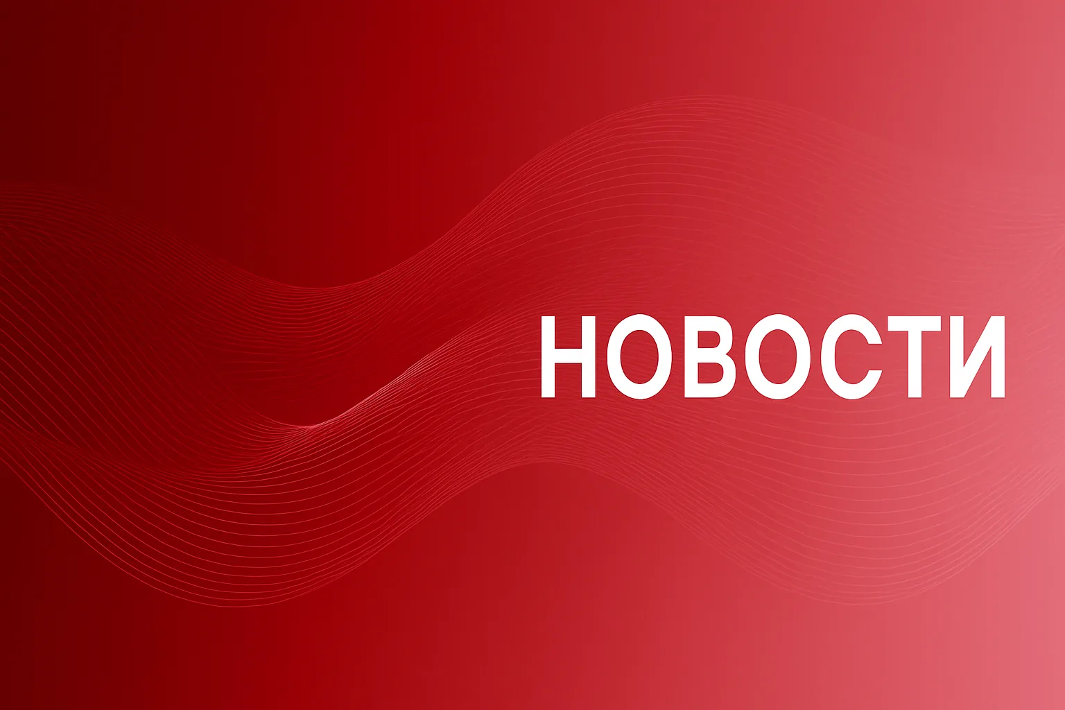🎓Белгородская облдума предлагает дать право на квоту при поступлении детям, получившим тяжкий или с