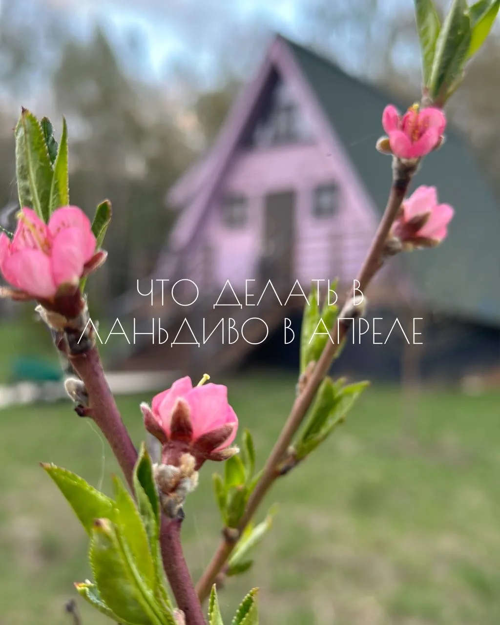 Апрель - такой странный месяц.