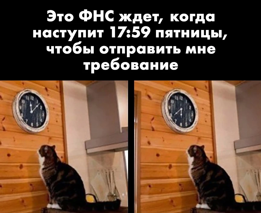 😁 А во сколько вам прилетало самое позднее письмо от налоговой?