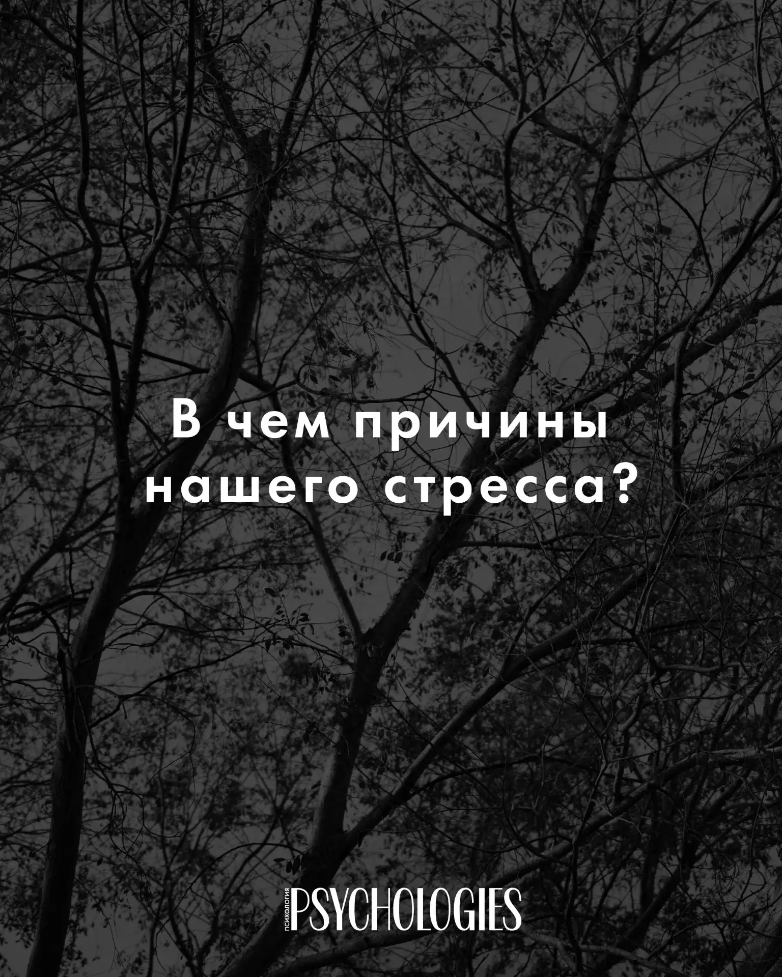 В объятиях стресса: антропологическая причина наших тревог