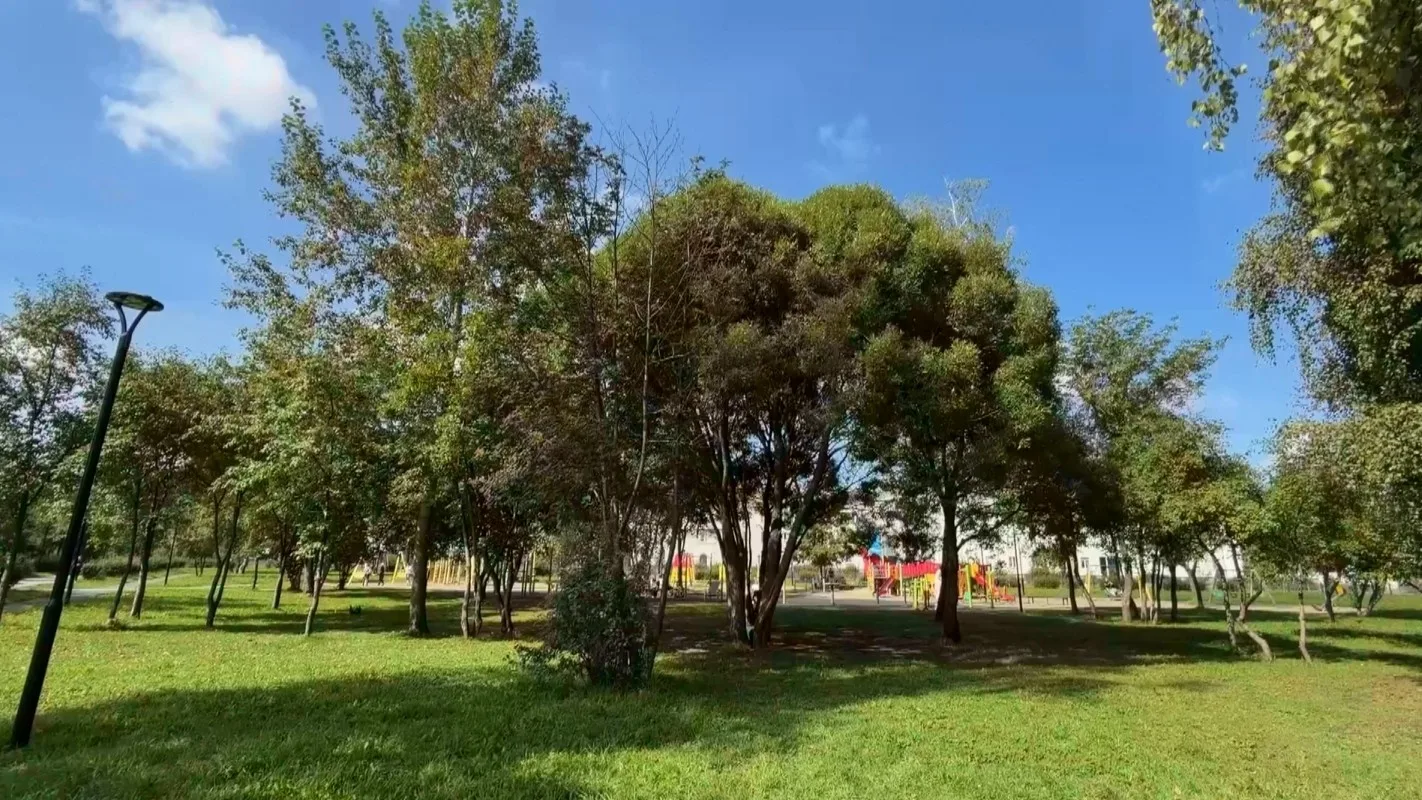 🌳 Парки и скверы Тагила готовят к осени. Газоны пострижены, изгороди выровнены. Остало...