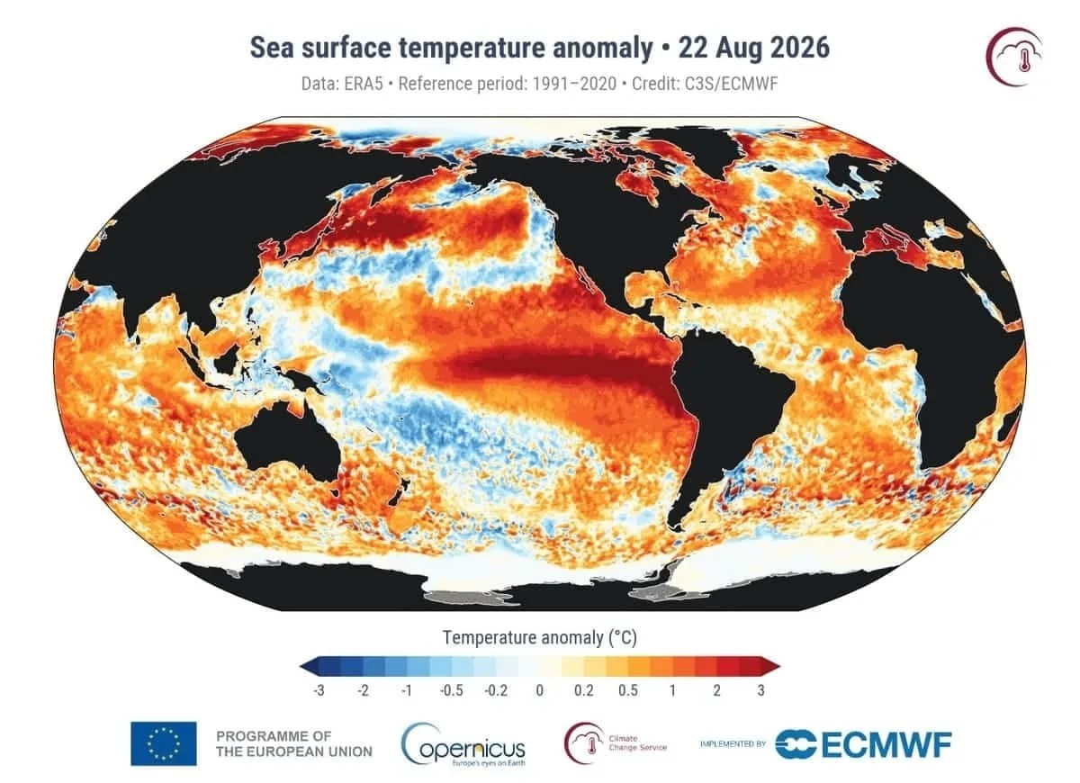 Глобальная температура поверхности мирового океана достигла 21,1°C 22 августа 2026 года...