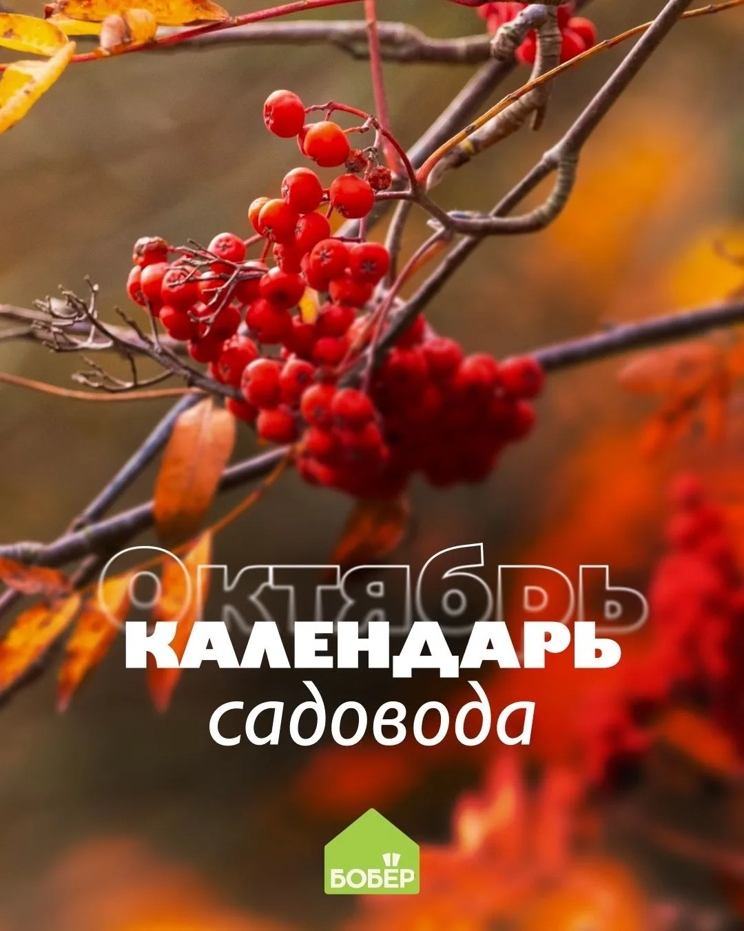 В октябре пора начинать активную подготовку сада к зиме 🍂