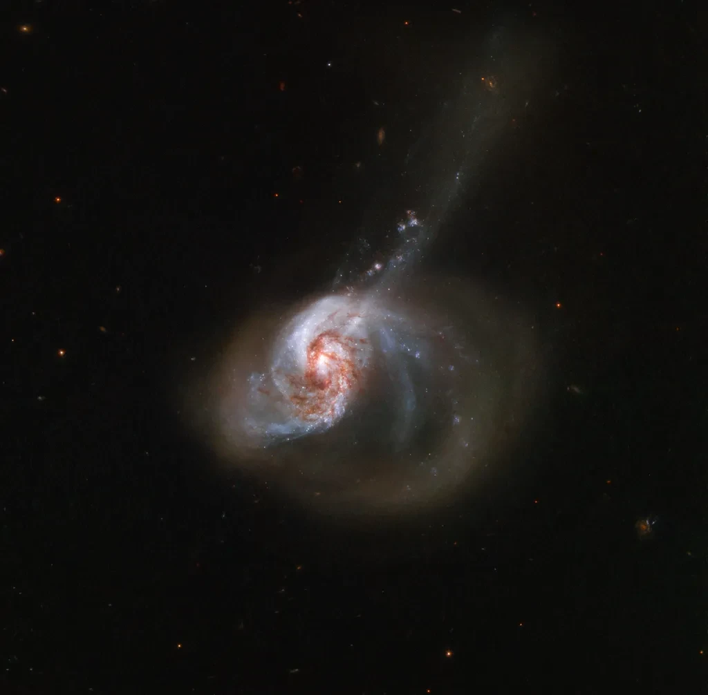 Захватывающая во всех деталях, NGC 1614 — это замечательная галактика, необычная форма ...