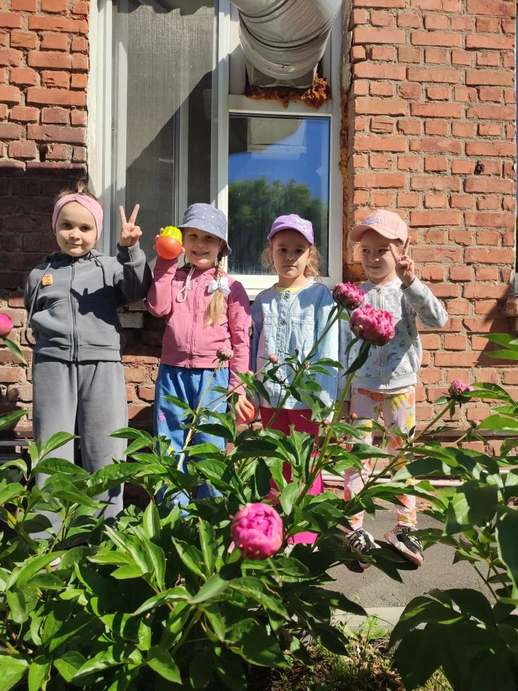 Расцвели пионы🌺