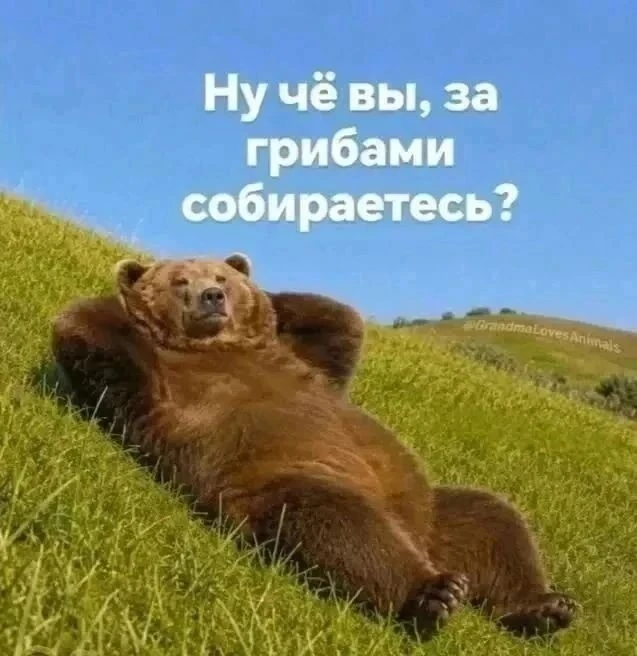 🤣
