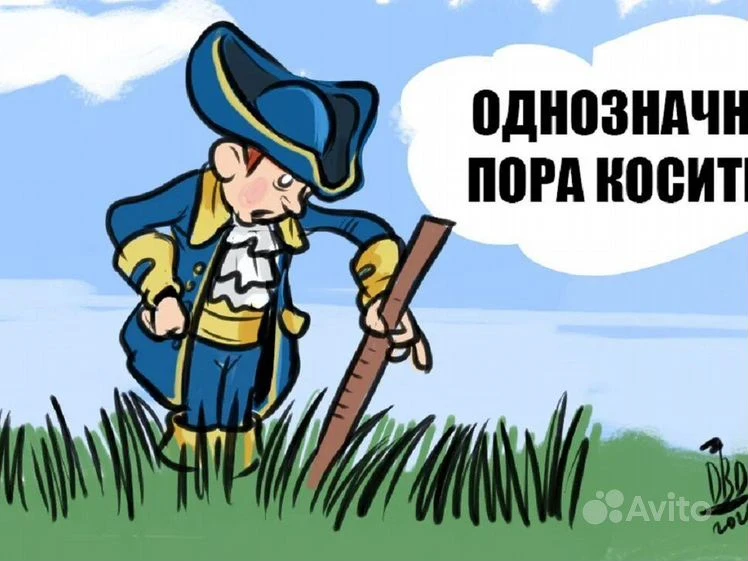 Покос травы:  зачем это нужно делать