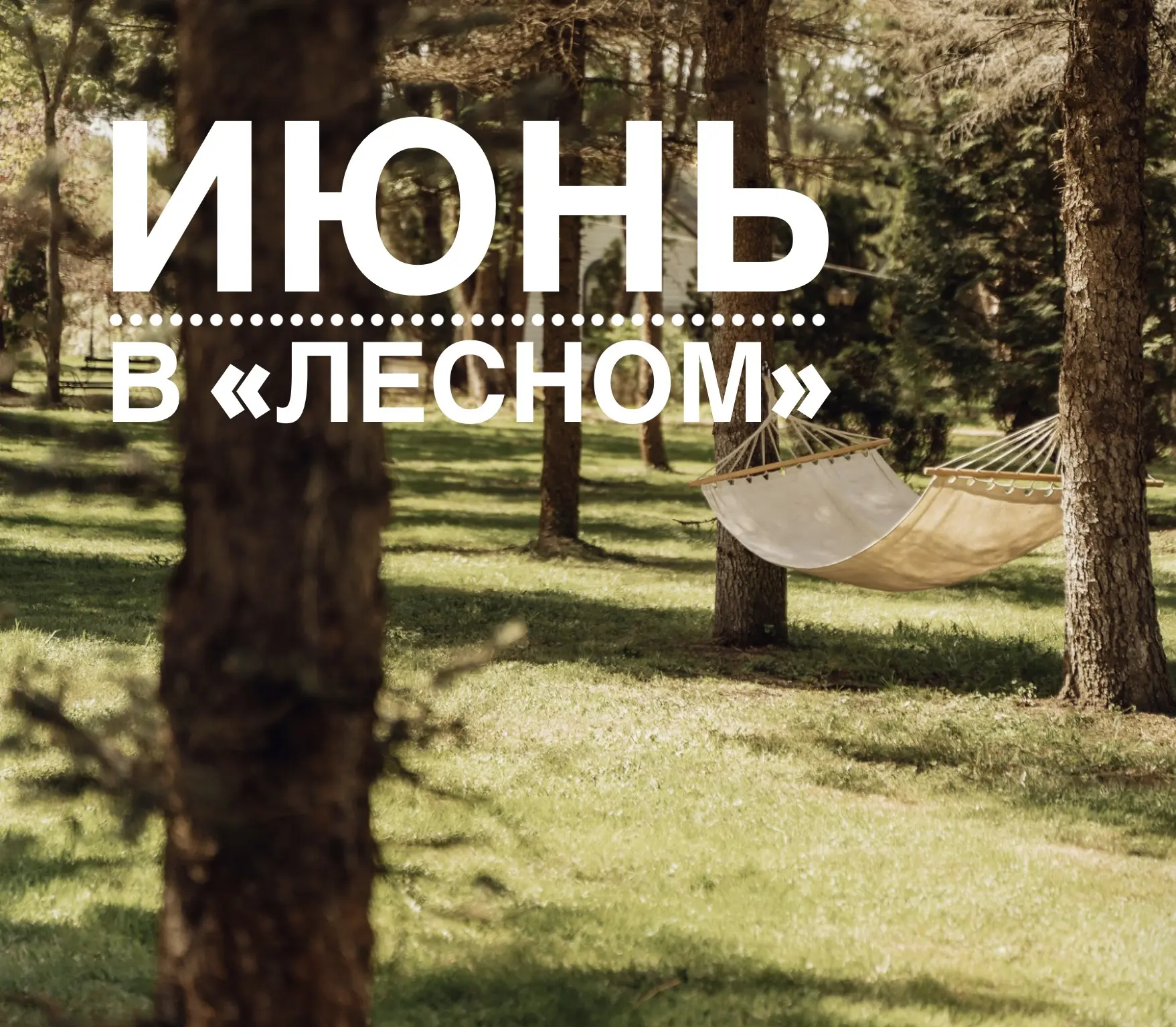 Доброе субботнее утро, друзья!

Июнь в разгаре, и у нас большие планы на первый месяц лета: сегодня 