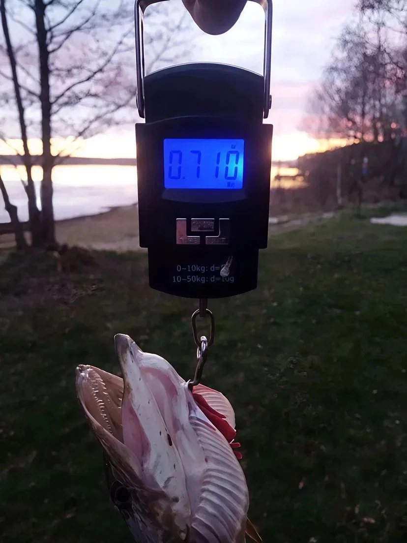 🎣 Почему рыбаки выбирают Акакуль?