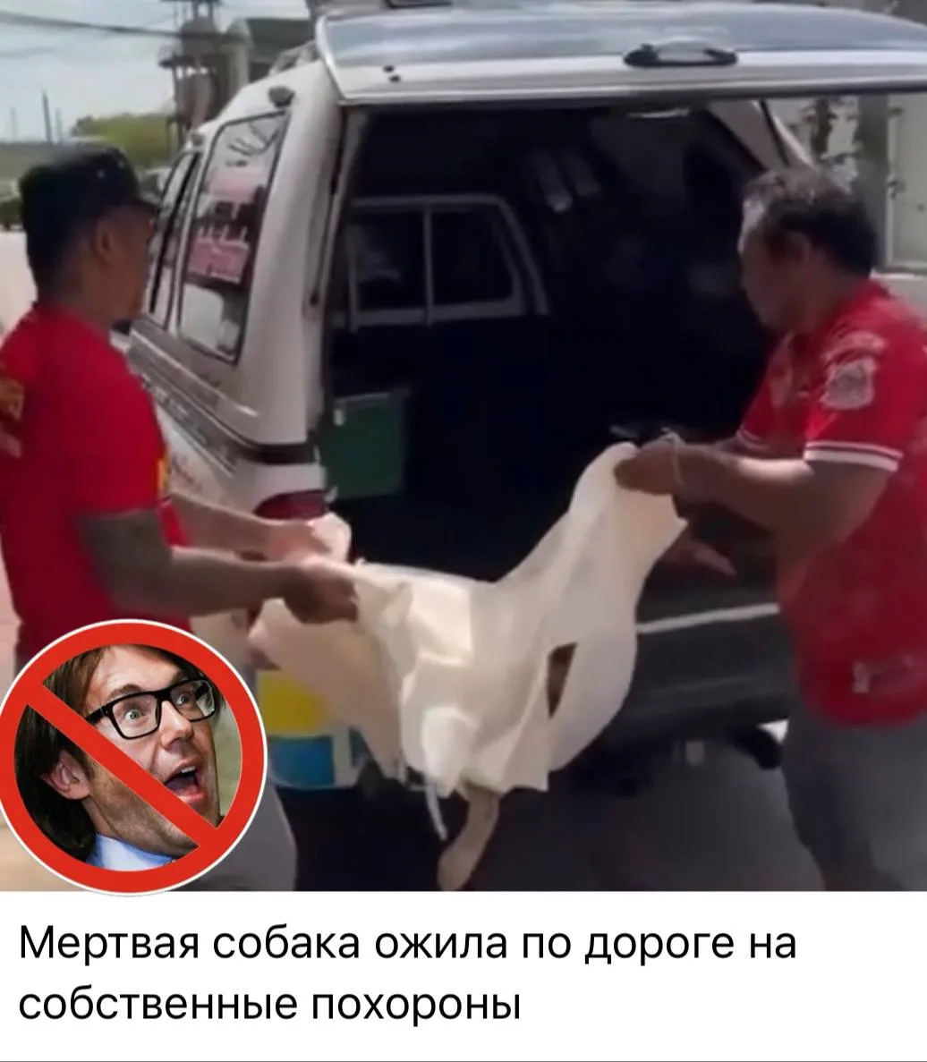 Состояние админа примерно каждый день