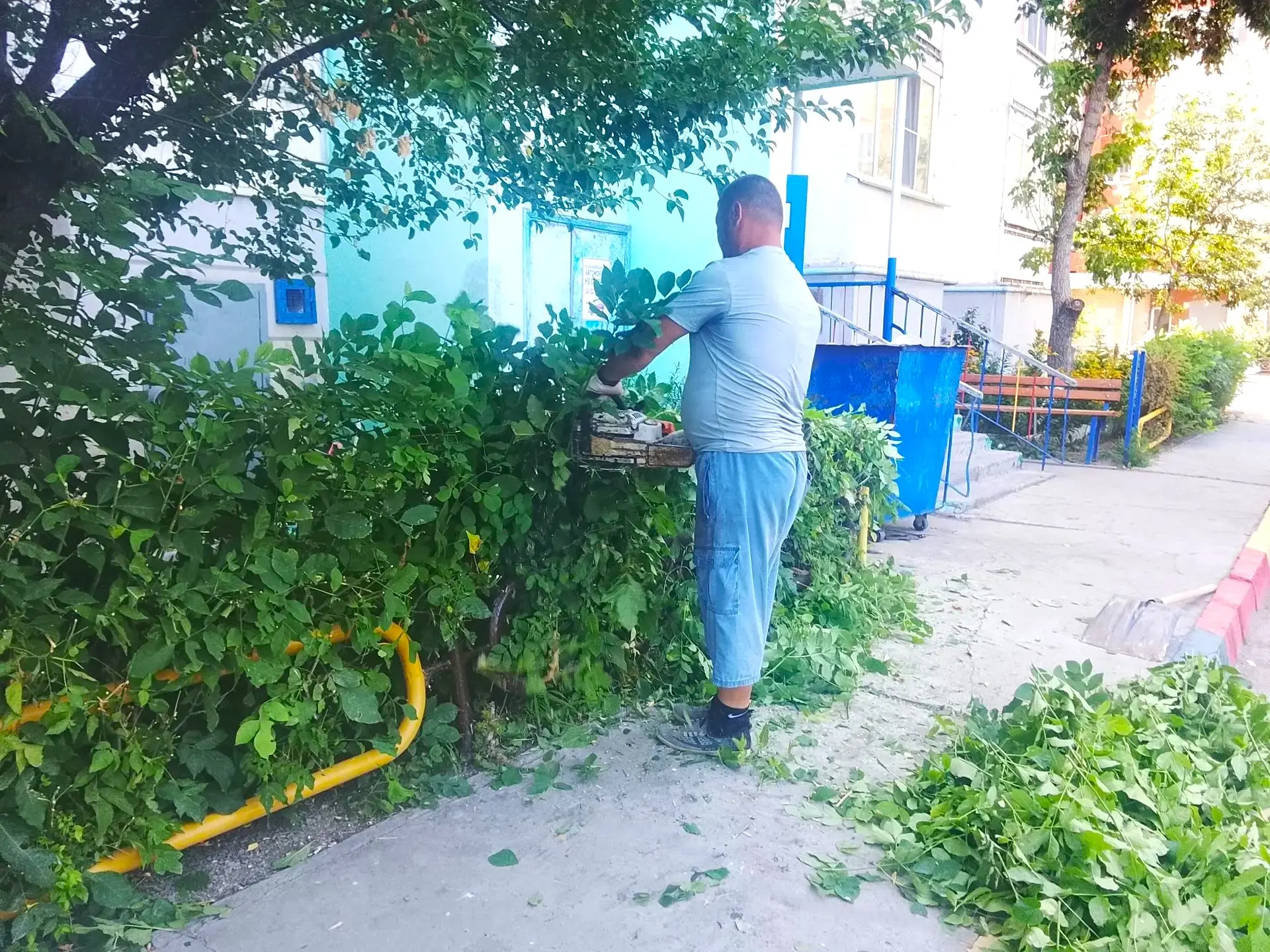 К новости «🌿 Зелёная стрижка для идеального порядка! ✂️»