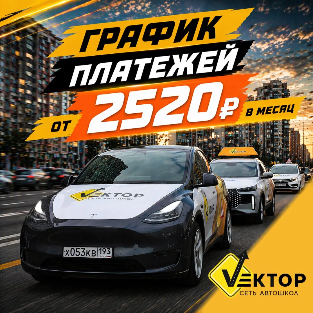 Автошкола "Вектор". Тренируем слабые точки индивидуально