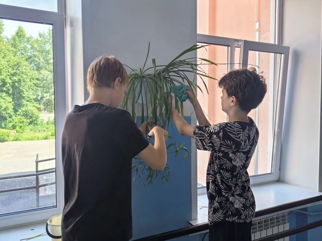 🌸 Обычный день с большой пользой