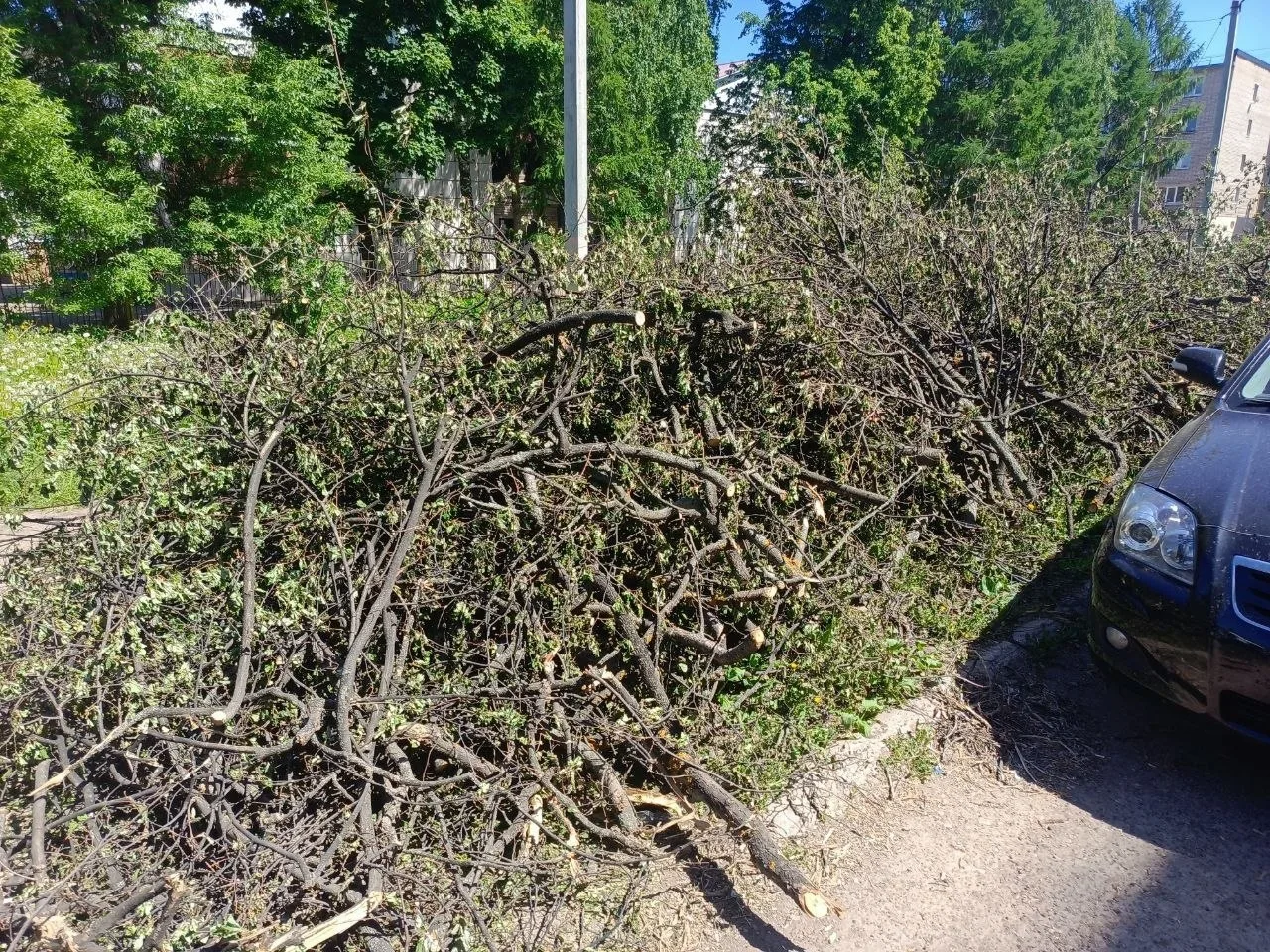🌳 Спиленные деревья до сих пор не убрали  В Лениногорске возле дома №22 по улице Куйбышева около дву