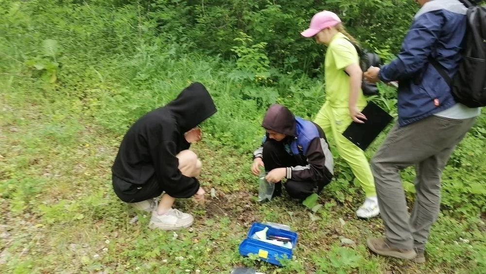 🌳 Грандиозные новости от юных натуралистов!

Мы успешно завершили этап практических исследований в 