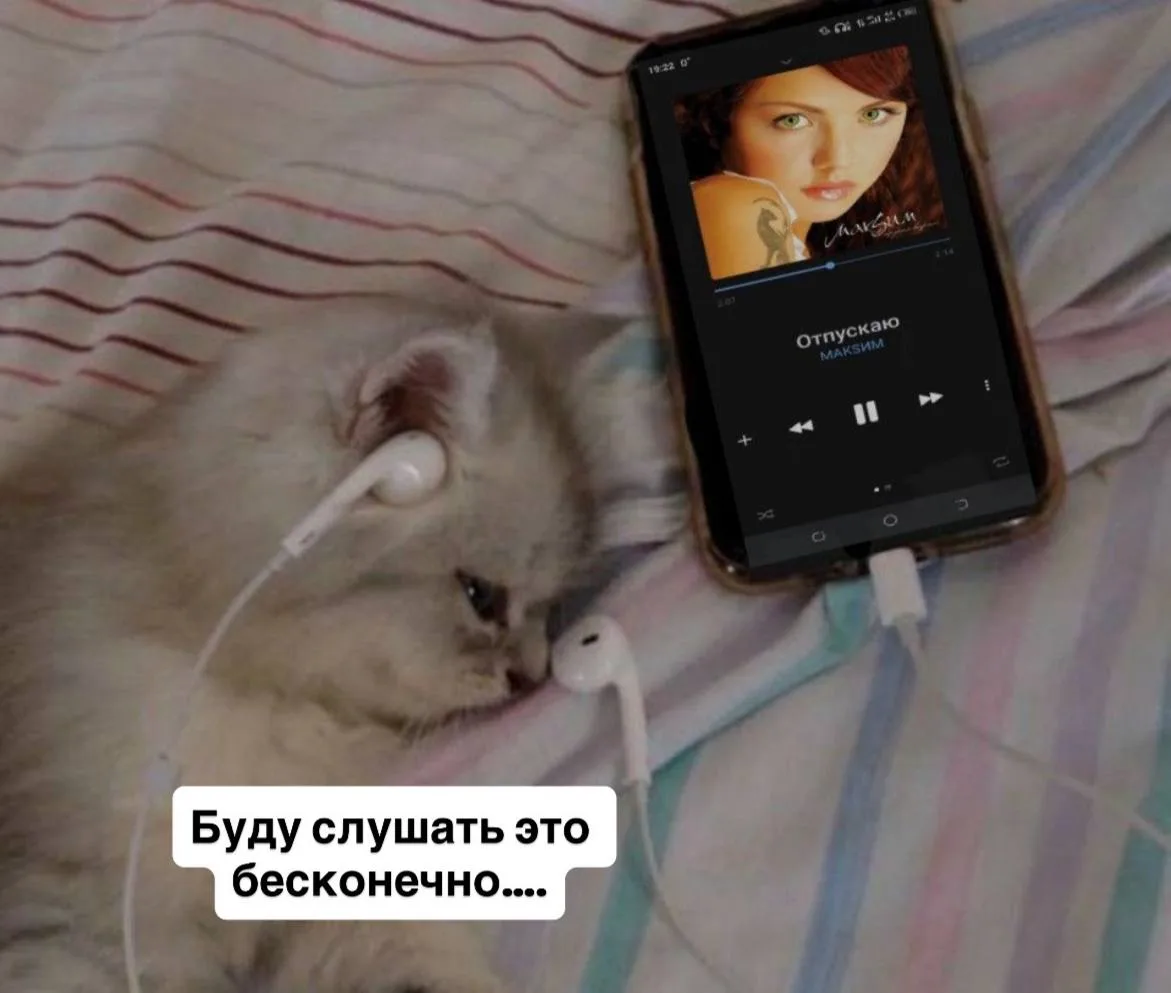 Ради плейлиста подруги прокопчанка забрала её телефон