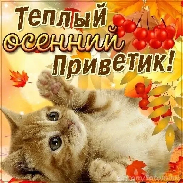 Список качественных каналов в МАКС | Смотреть ❤️