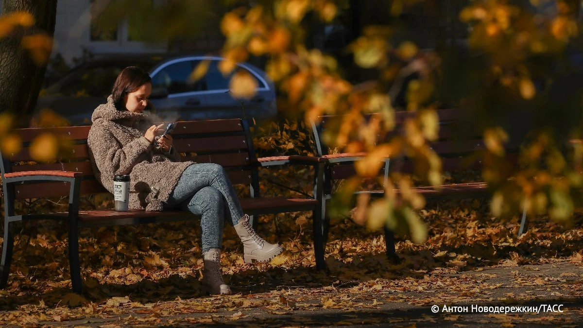 Почти половина россиян (42,7%) продают товары через сервисы объявлений, говорится в исс...