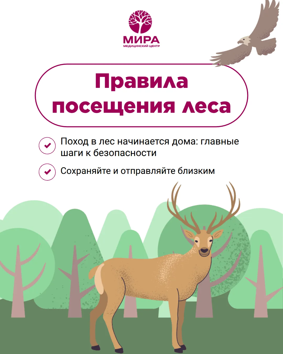 🌳Поход в лес — это всегда маленькая экспедиция, даже если вы идете в знакомый пролесок...