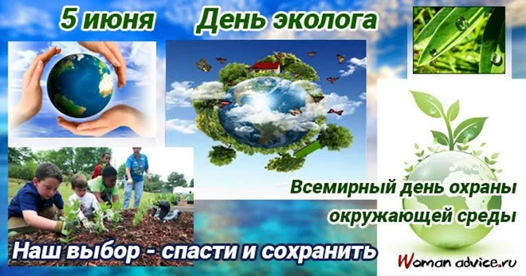 ⚡5 июня — Всемирный день окружающей среды. Это не просто дата в календаре, а ежегодный повод для каж