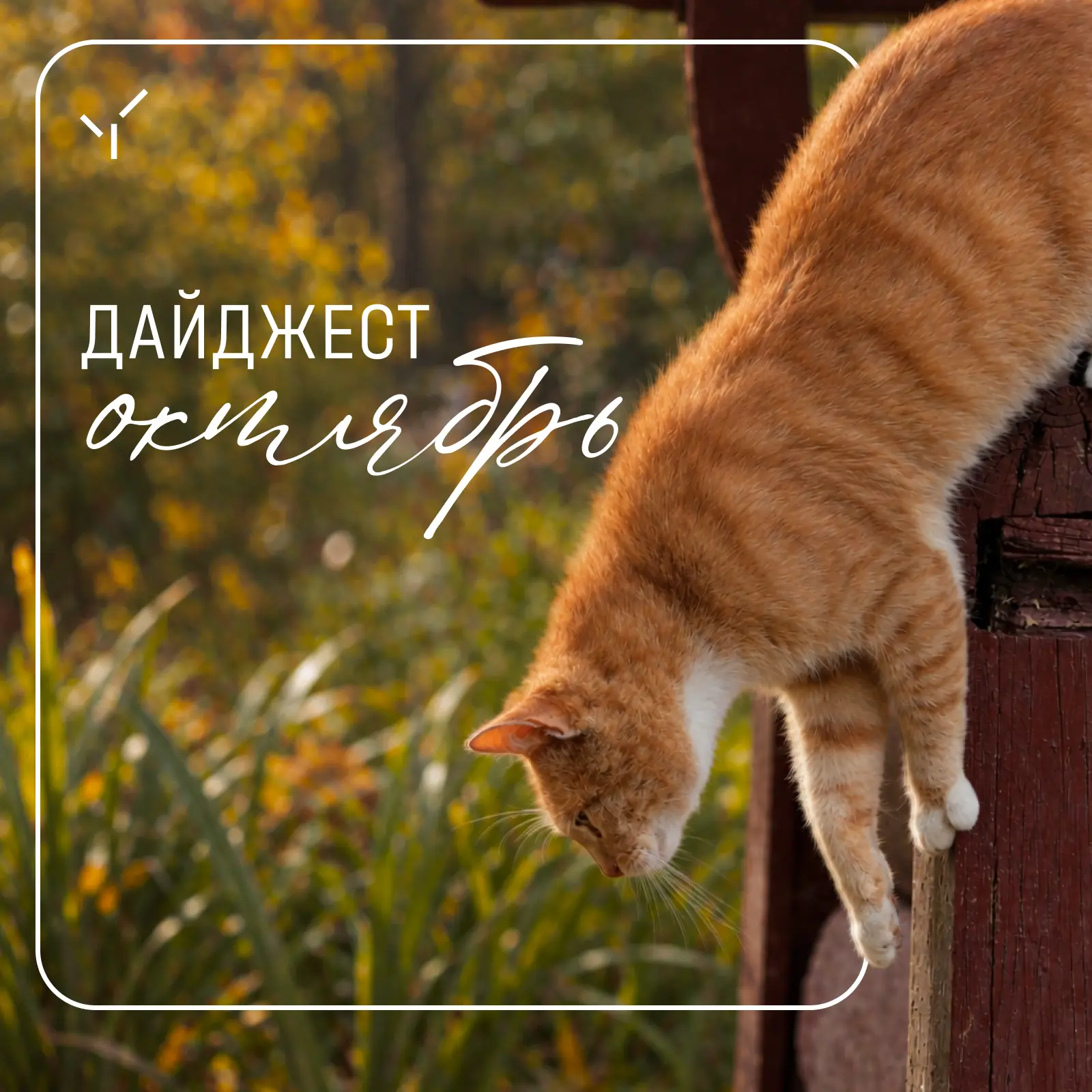 Дайджест на октябрь