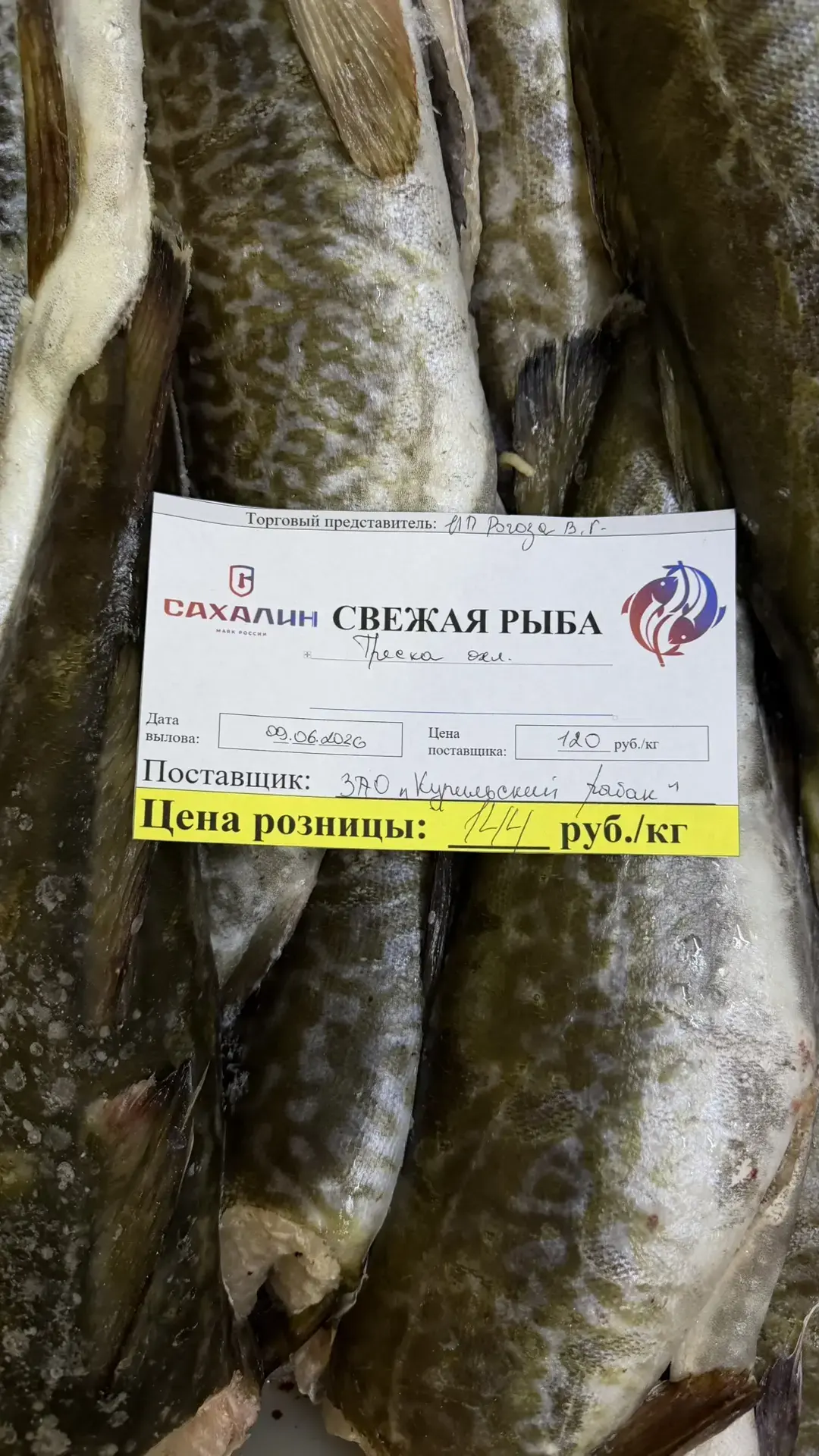 Уважаемые жители и гости города Курильск!