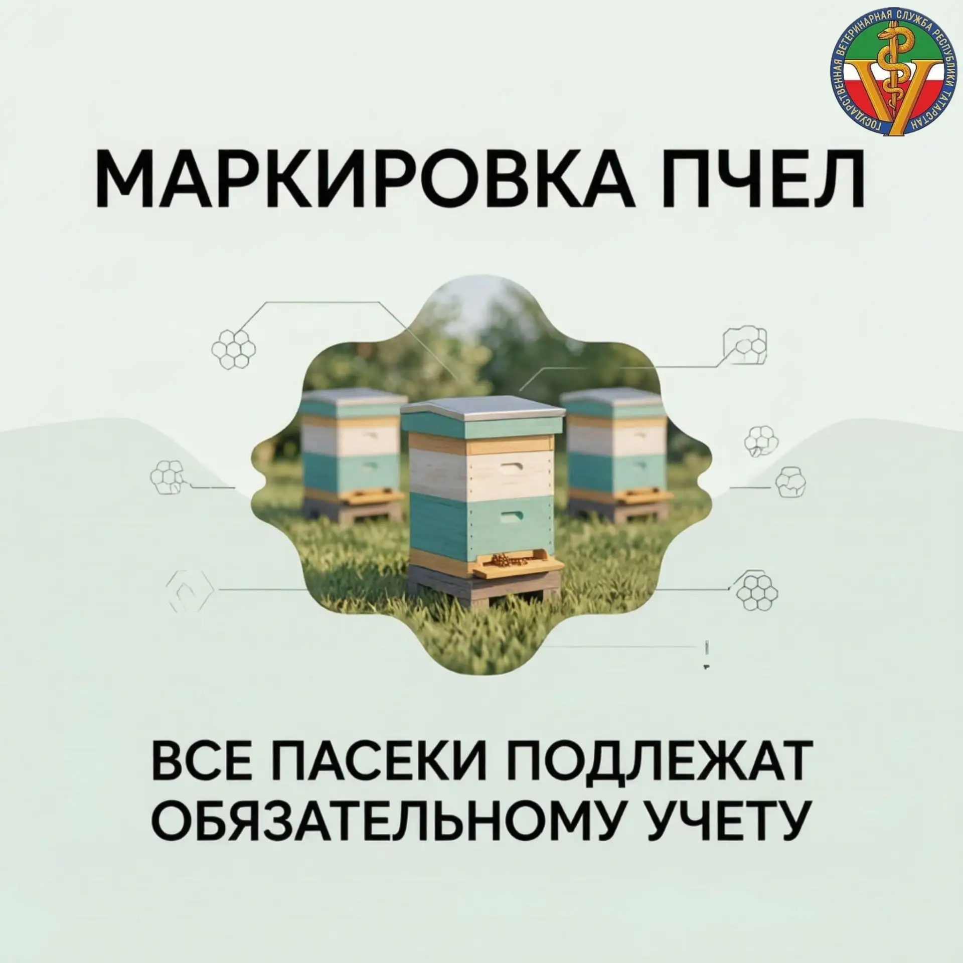 Групповая маркировка пчел🐝

🔷 Индивидуального чипирования нет
Закон требует групповой маркировки. 