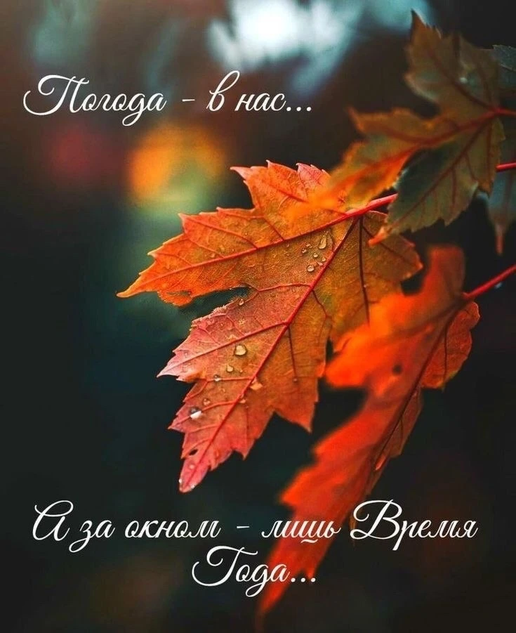 🙋‍♀️Здравствуйте и будьте здоровы ❣️🤝