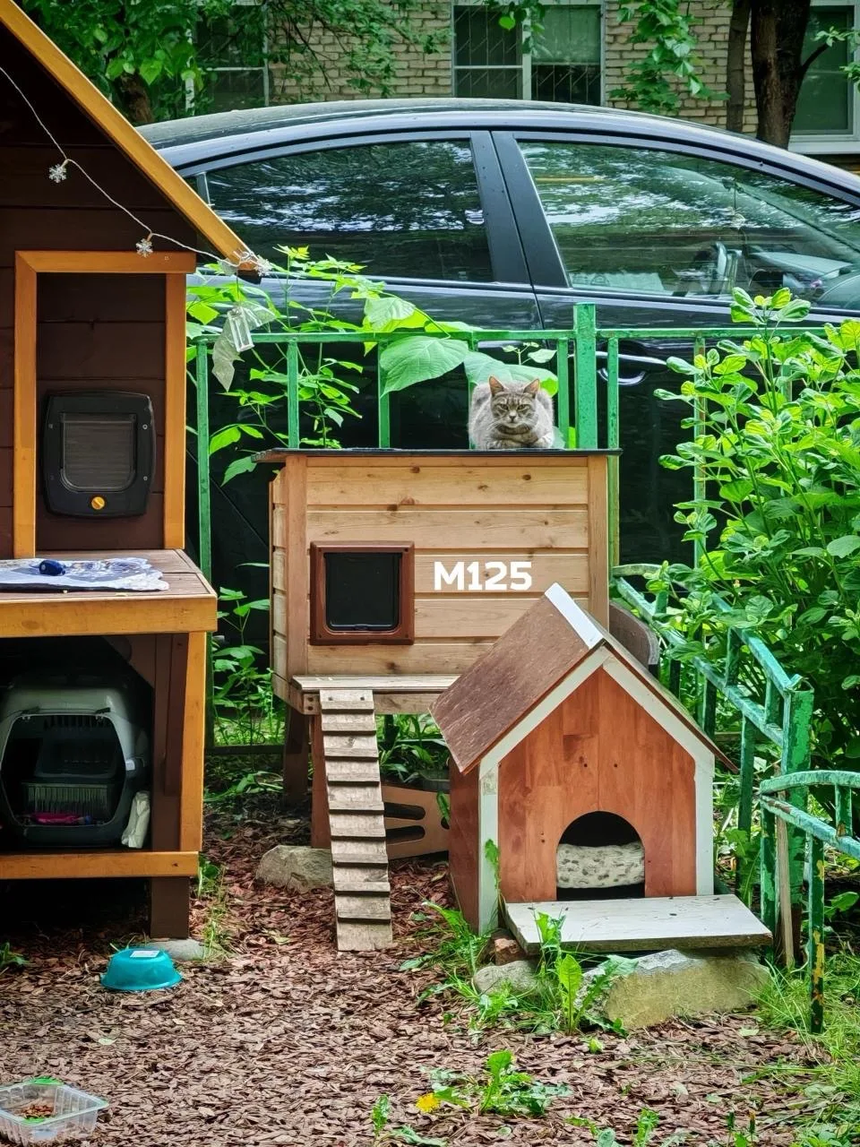 🏠Кошачья усадьба на бульваре Матроса Железняка

Радует, что тут живёт столько неравнодушных коптевц