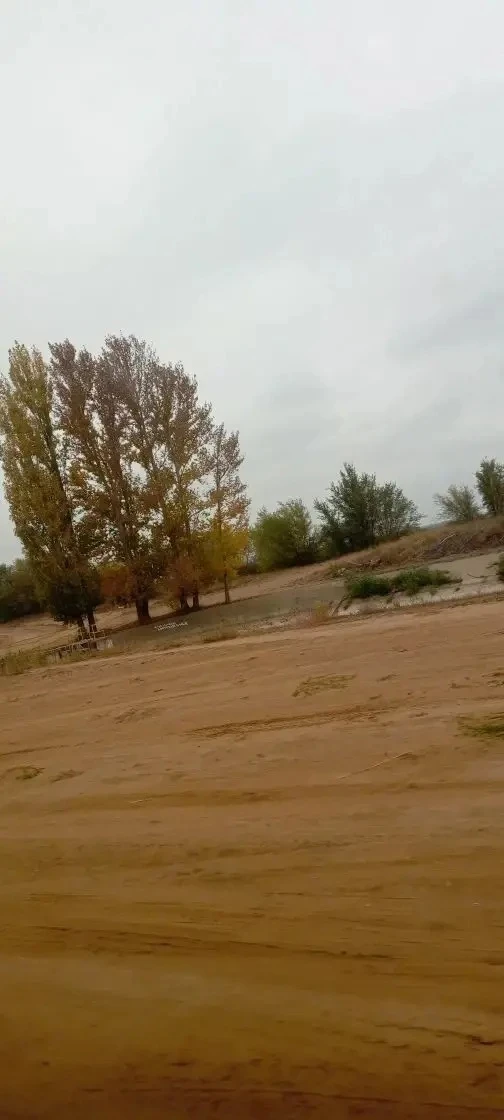 🦅 Орлята России🦅