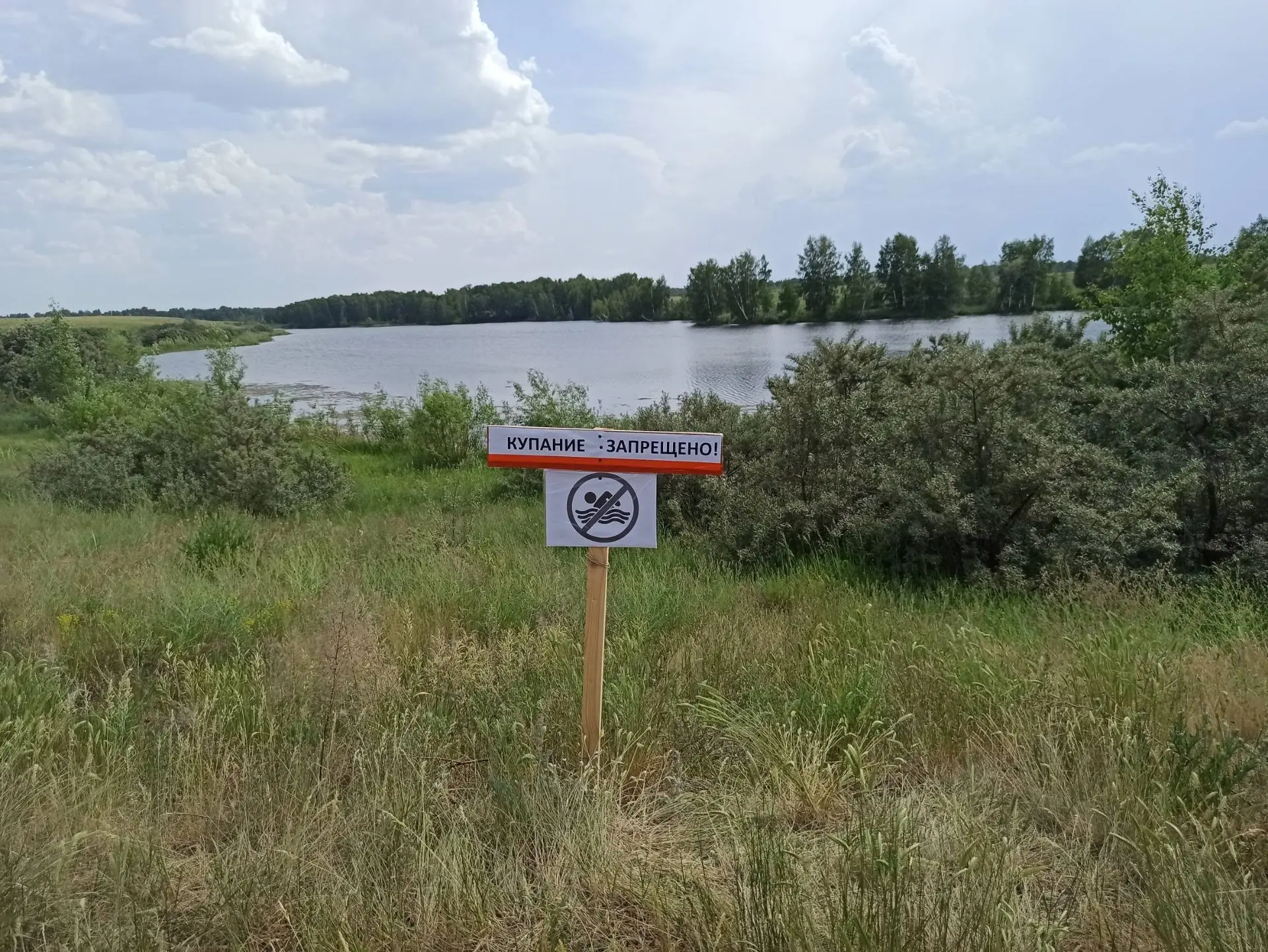 Внимание: родительский патруль на воде! 👨‍👩‍👧‍👦🌊