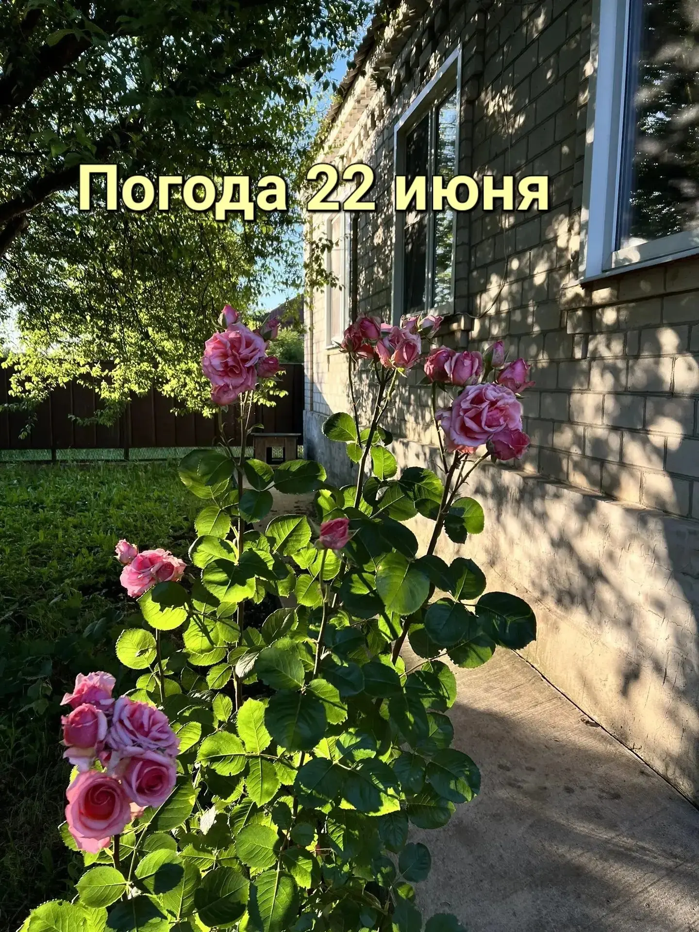Сегодня самый длинный день в году
22 июня 2026г. ожидается переменная облачность, ночью местами небо