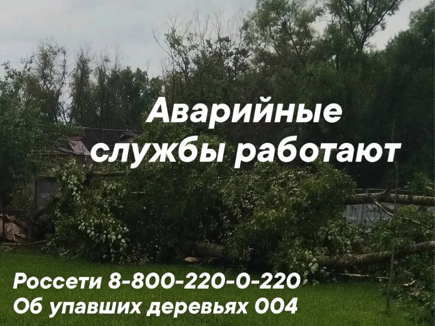 Новогорелово | Горелово | Ветер перемен | Санкт-Петербург🏡