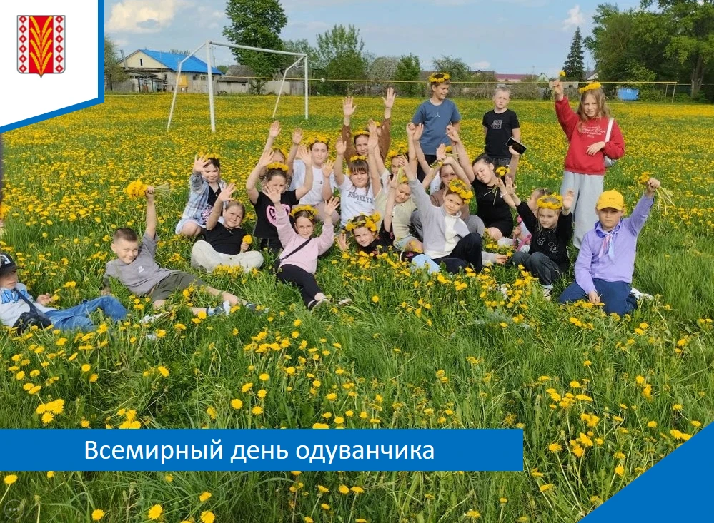 ✅13 мая отмечается Всемирный день одуванчика. Этот праздник посвящён одному из самых уз...