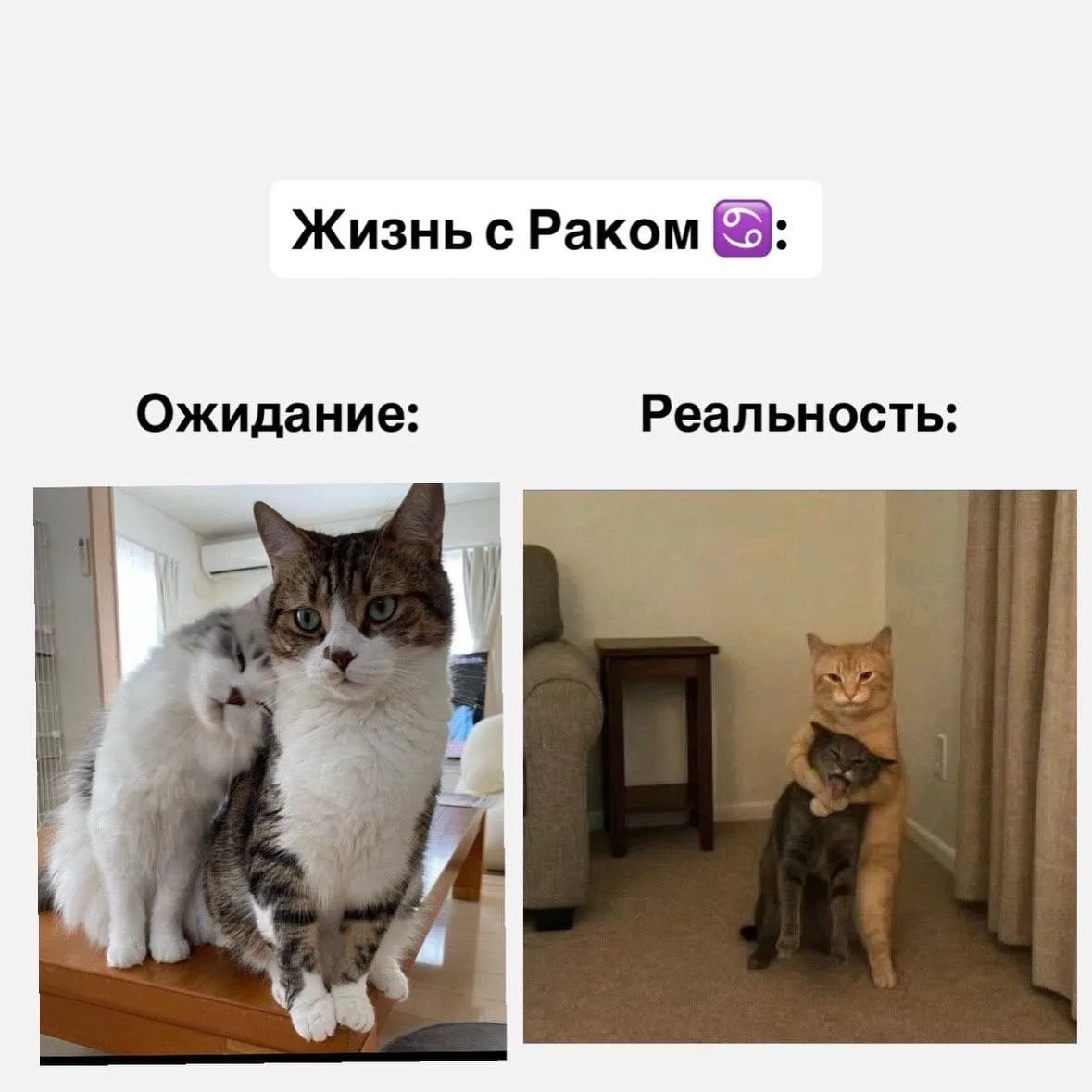 Жизнь со знаками зодиака, часть 1  Если согласны с постом, оставляйте реакцию ❤️  Астрология | Подпи