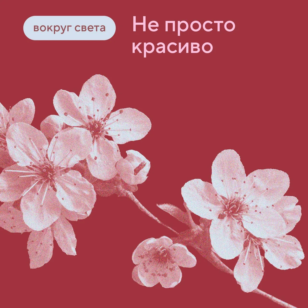 Минула весенняя ночь.